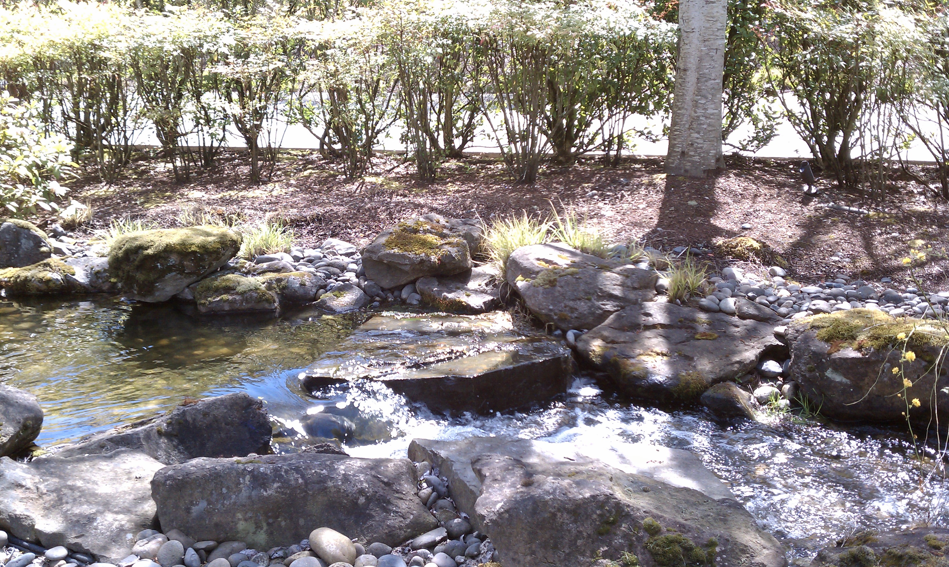 Nissho Iwai Stream at Campus Entrance